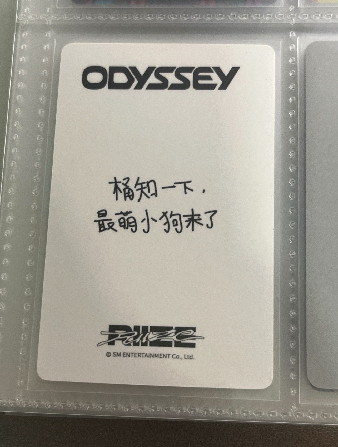 帽踢桶四張