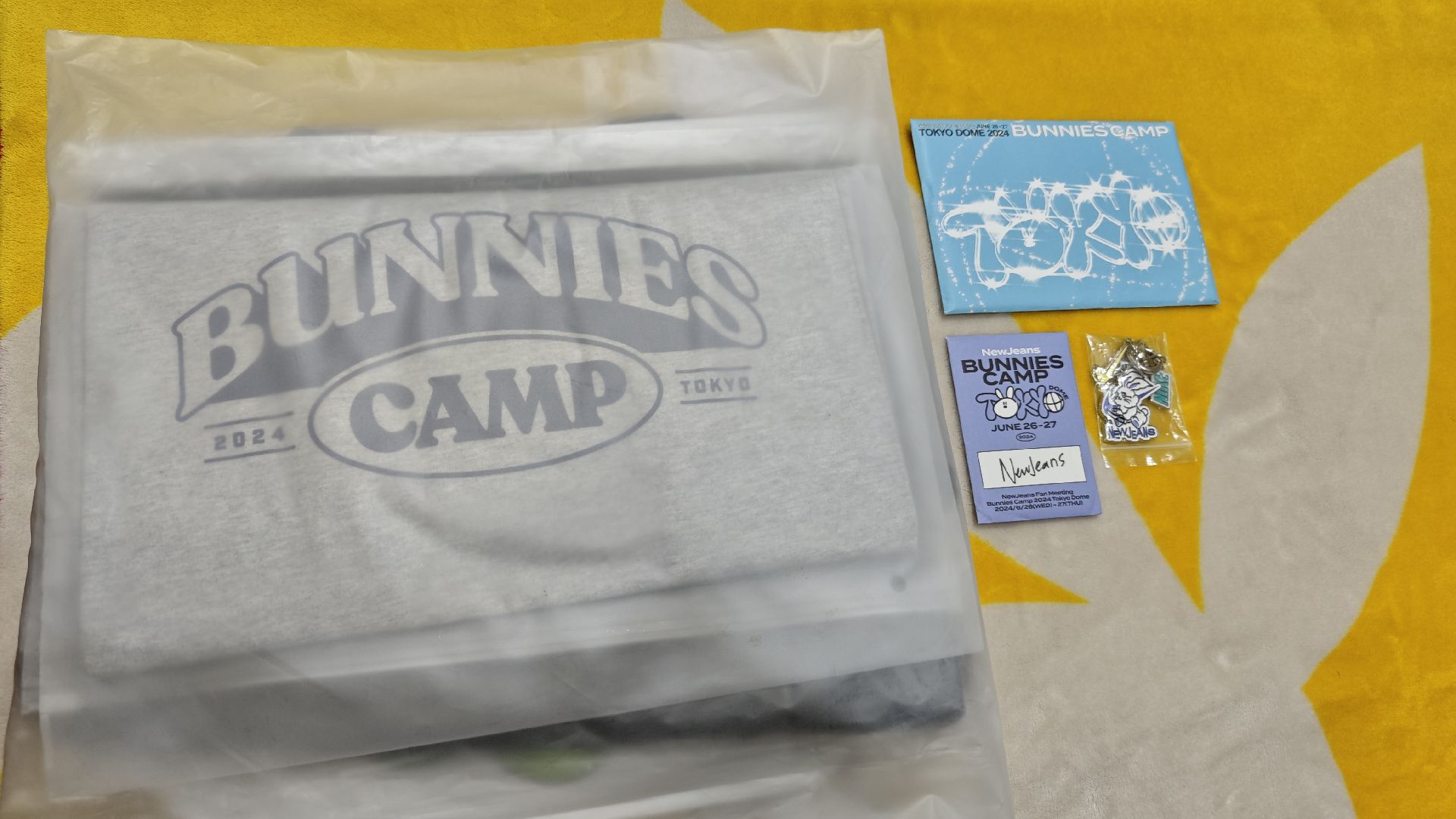 NewJeans BUNNIES CAMP 2024 東京巨蛋場 P席豪華套組 (最完整大全套！！)