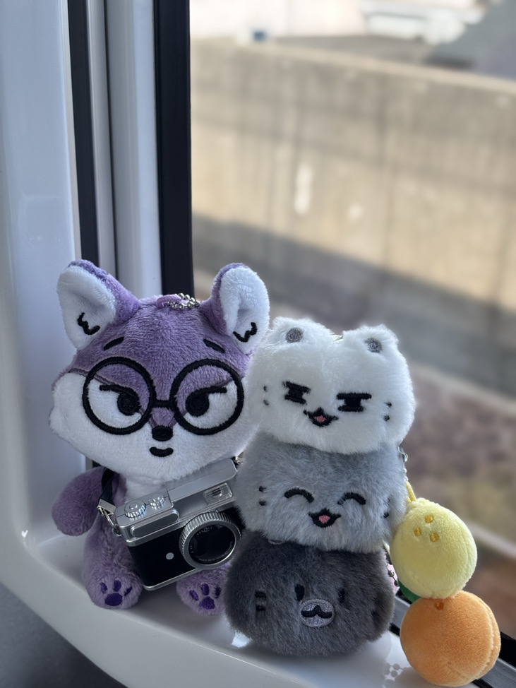 圓圓的腦袋