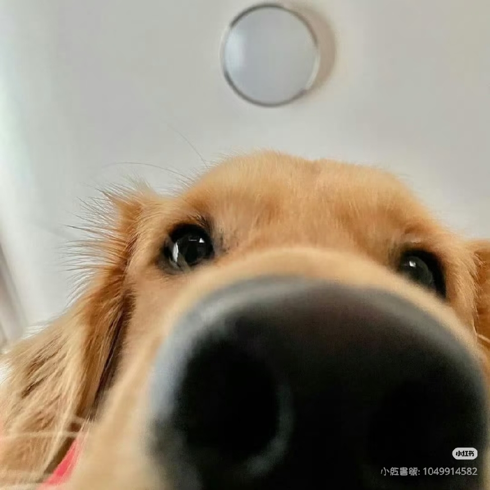 真♥️