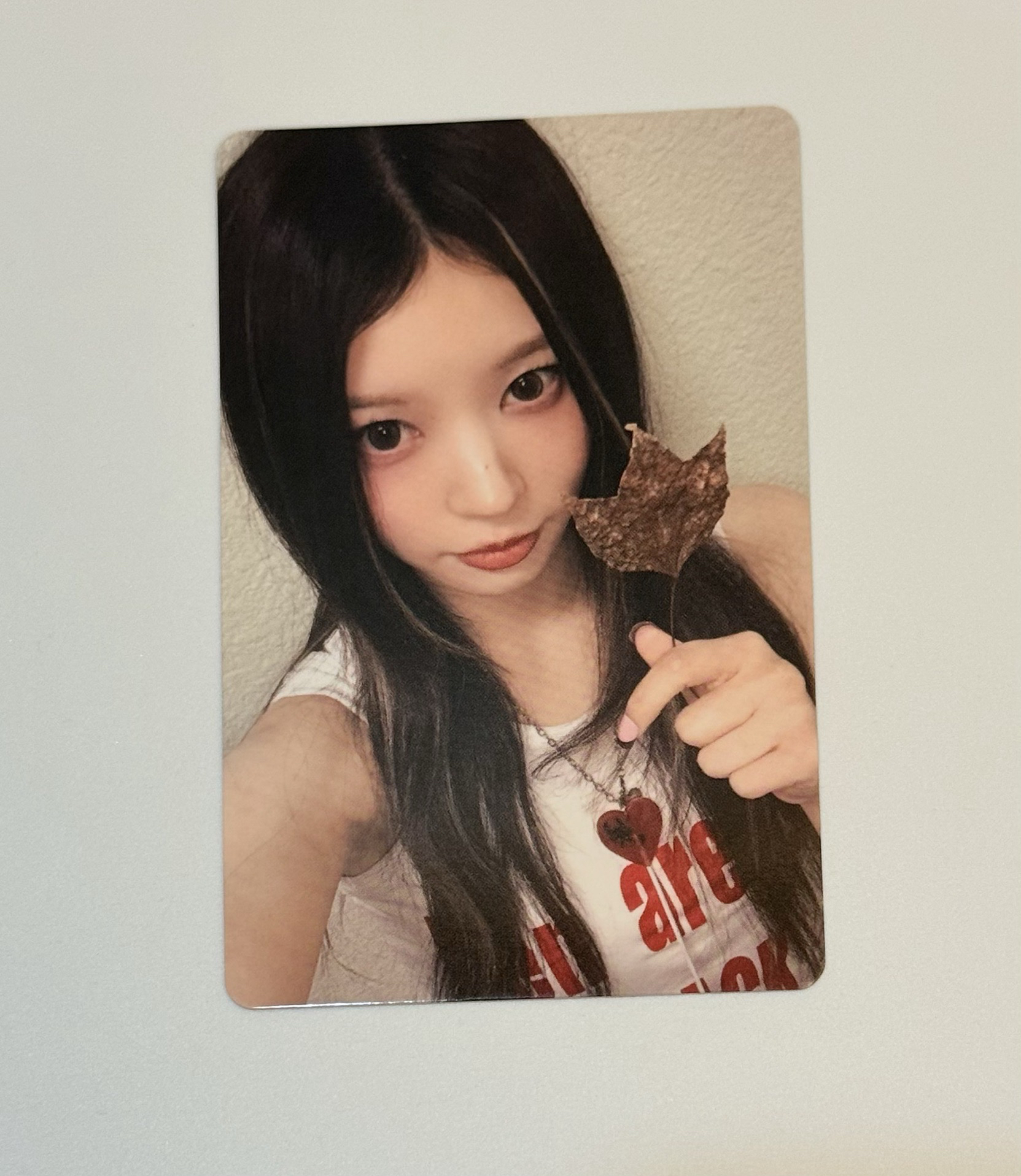 一直娛幸運卡楓葉moka