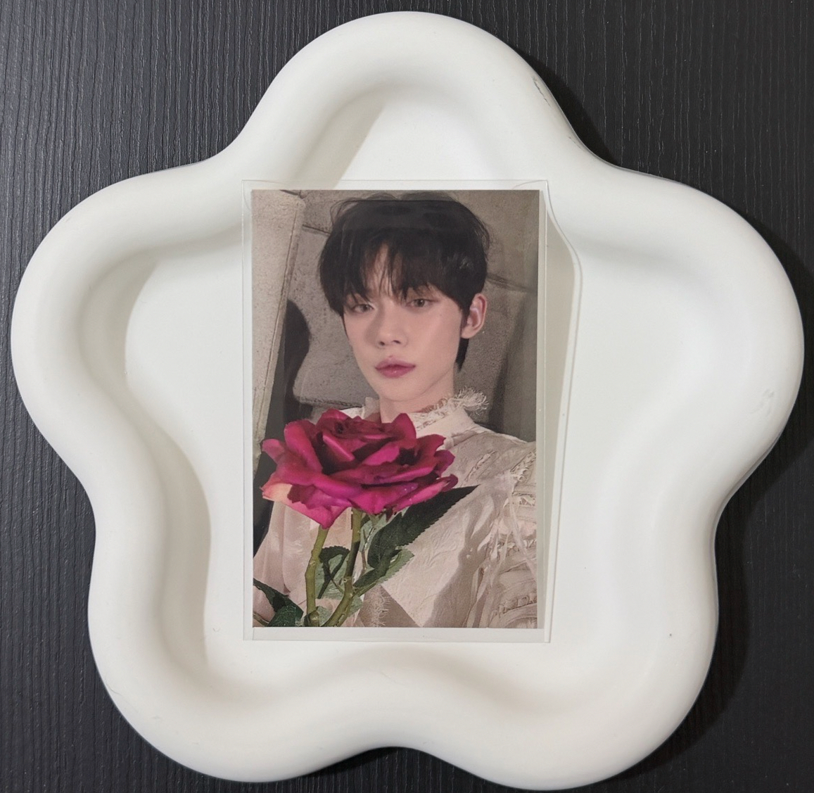 玫瑰打歌竣🌹🦊