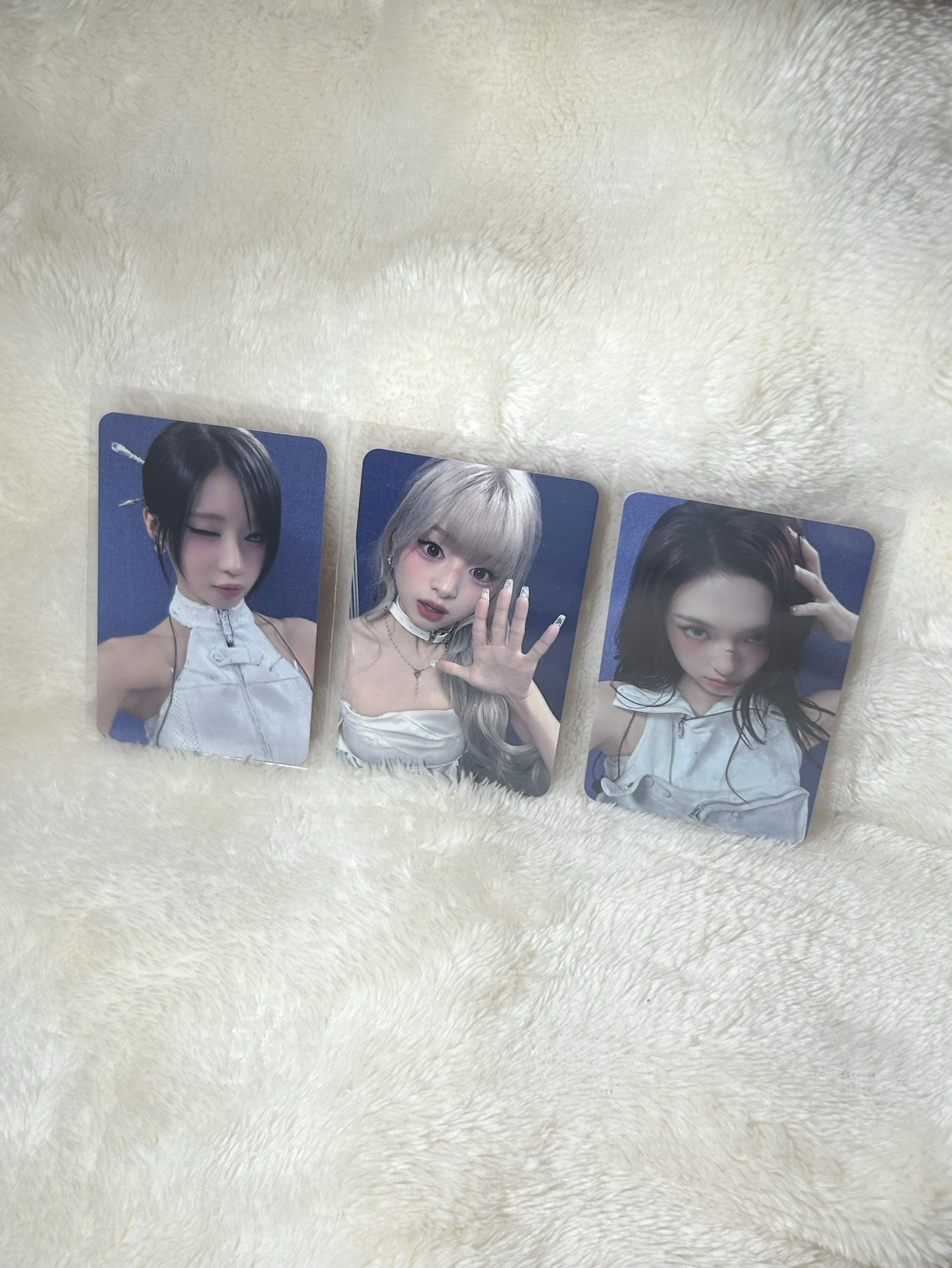 ms 特典卡 🐰🦋🐈‍⬛