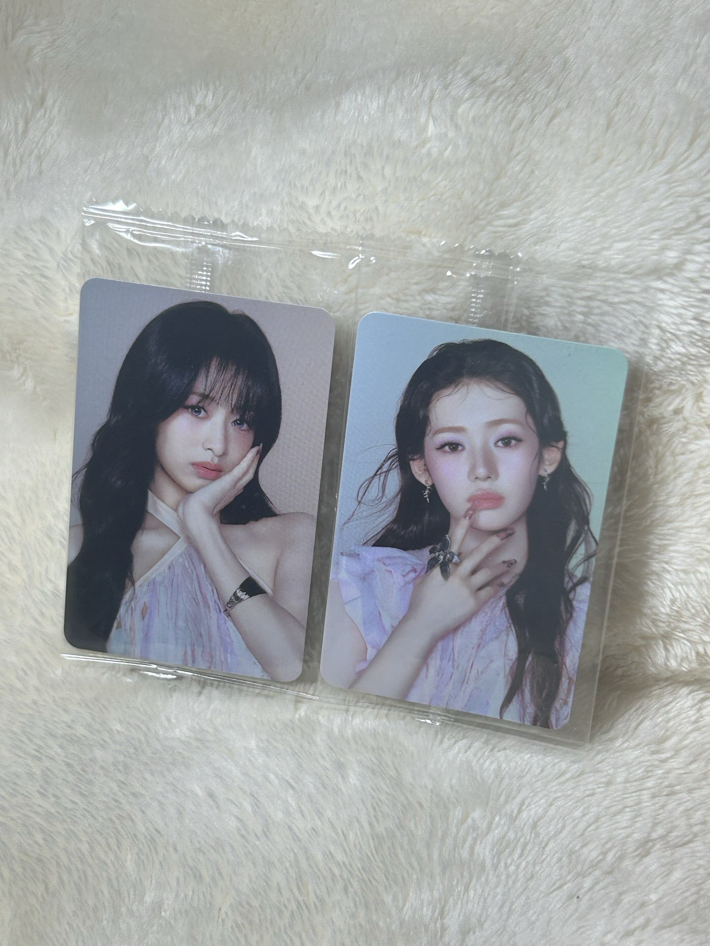 춤 通用官拍 🦋🐼