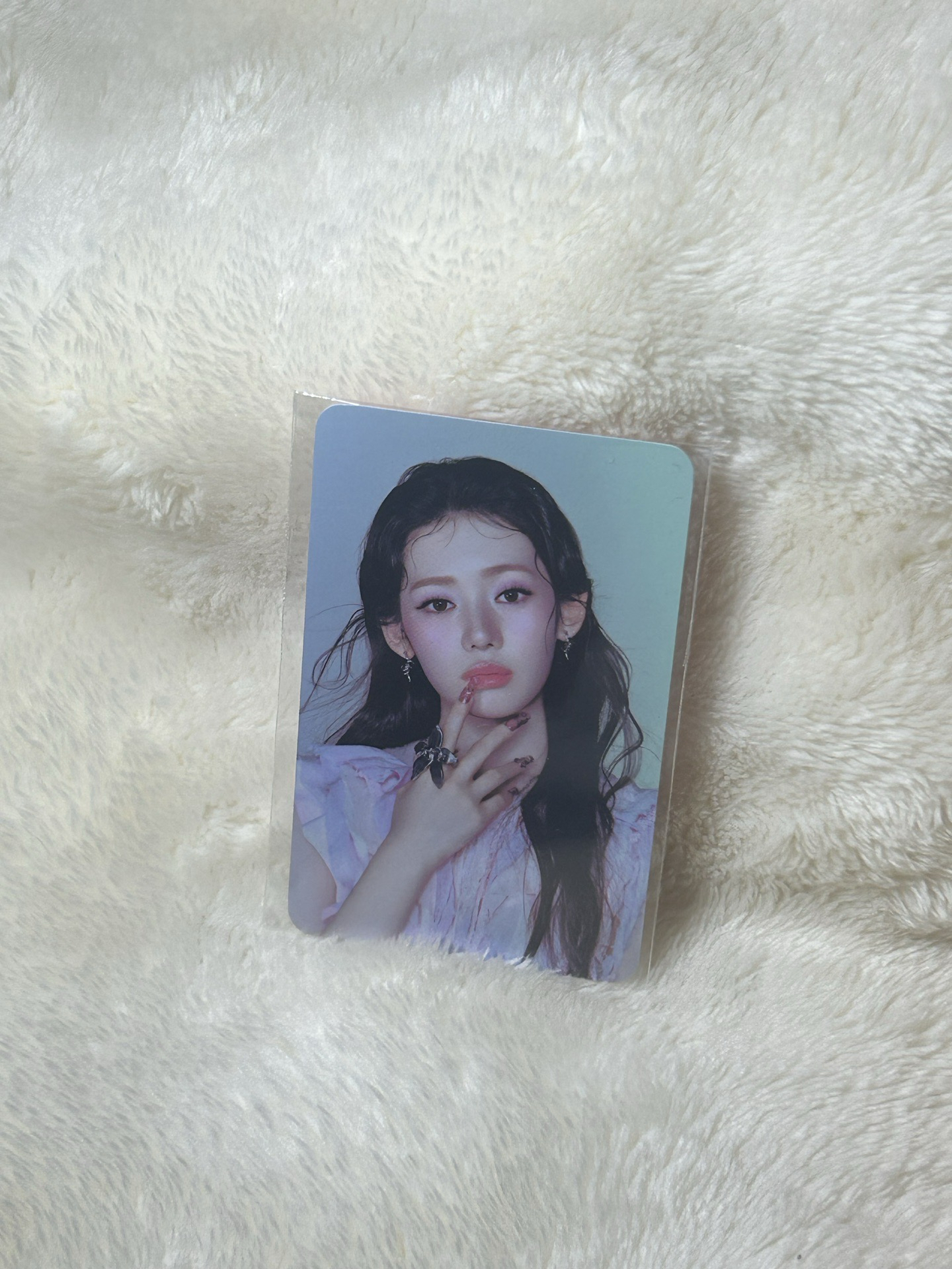 춤 通用官拍 🦋🐼