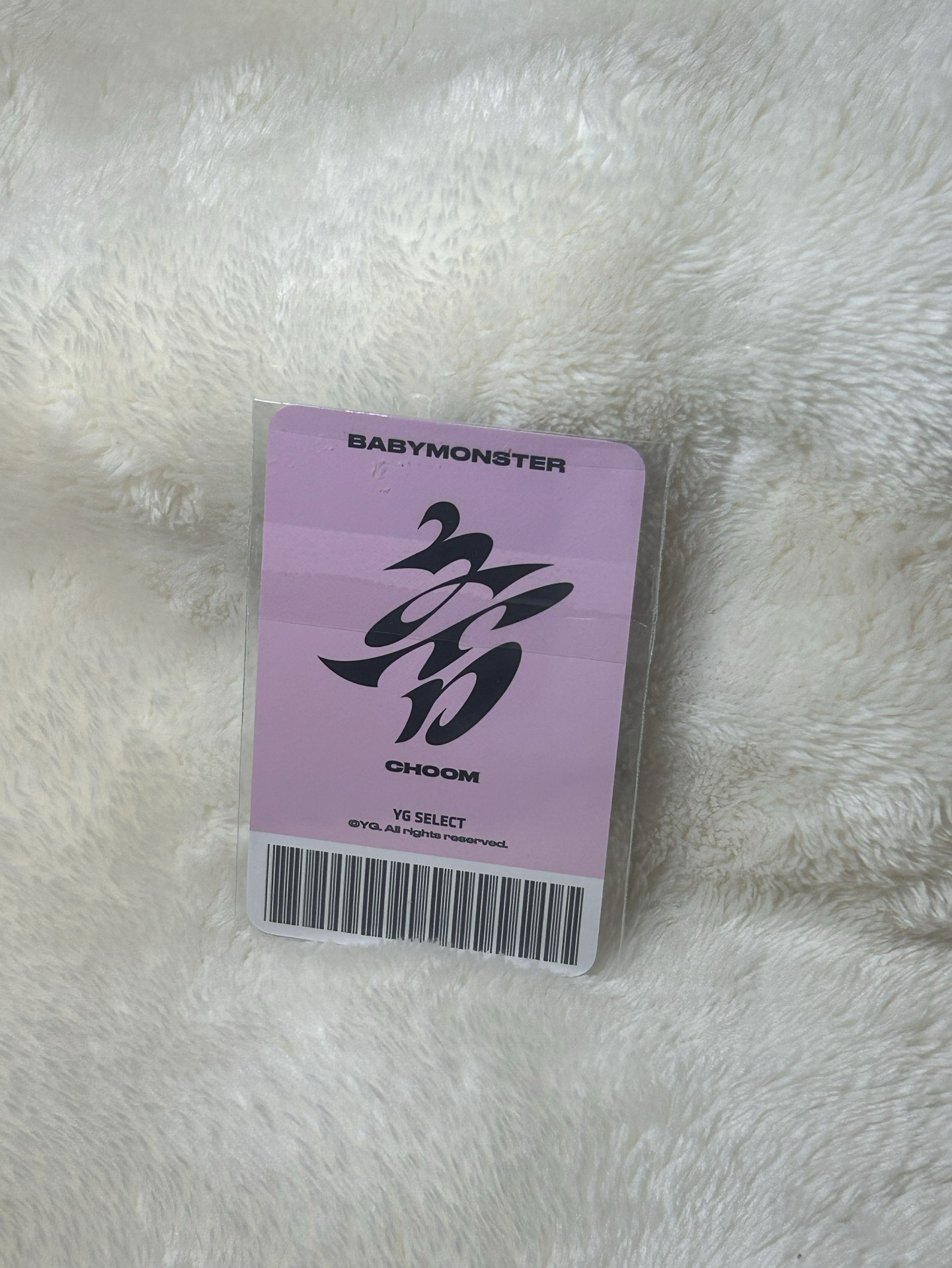 춤 通用官拍 🦋🐼