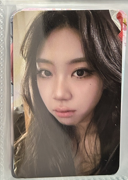 Lee Young-ji