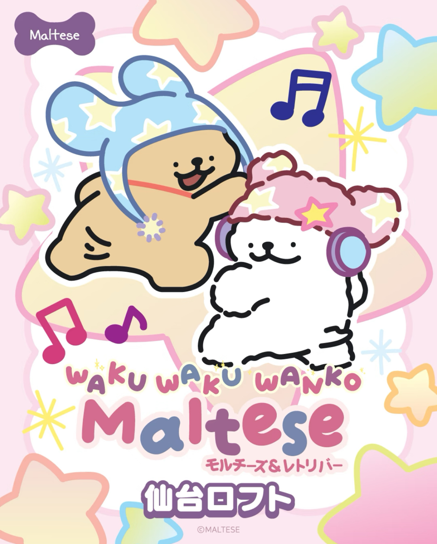 Maltese × LOFT 仙台快閃店