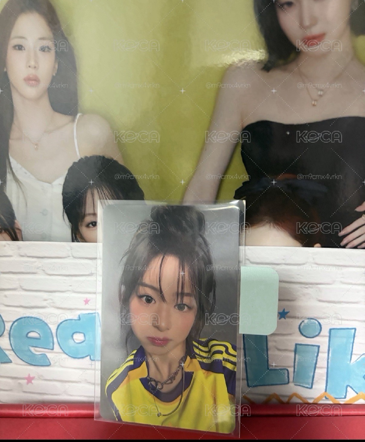 澀谷黃衣賢🦋