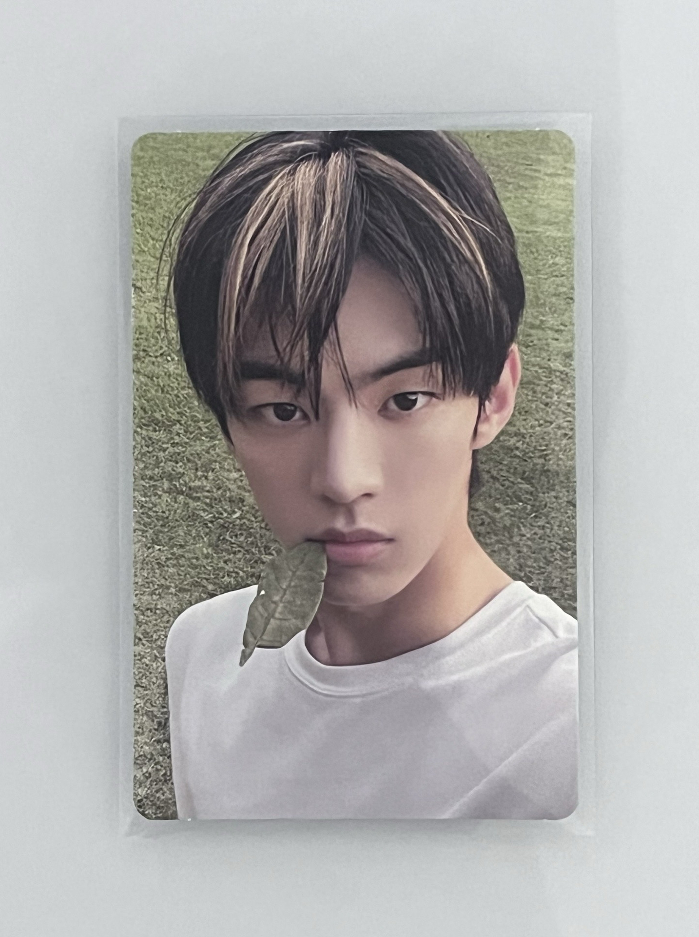 Dohoon 迷二 專輯卡 NOW ver.