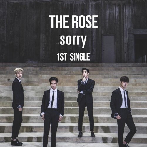 1st Single “Sorry”