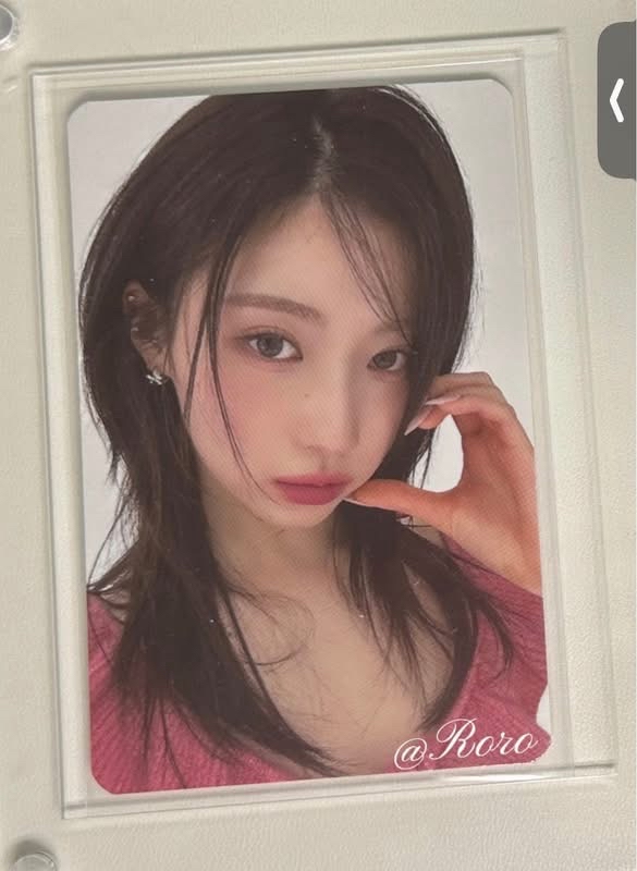 兩張芭妮蘭角