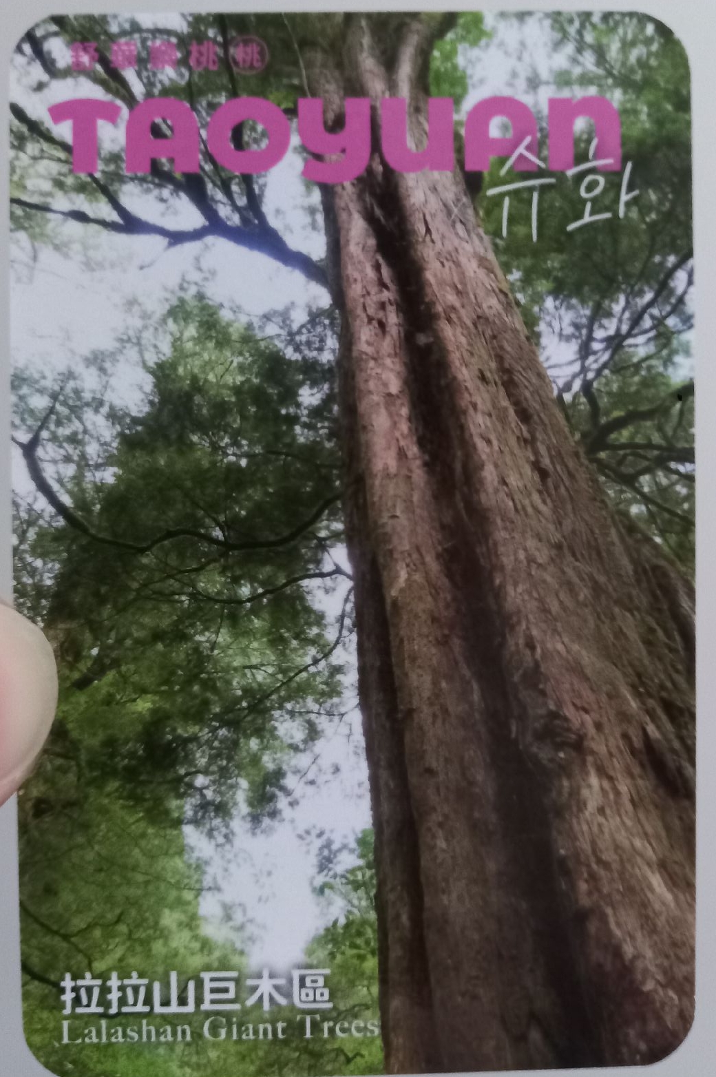 舒華 桃園觀光大使卡