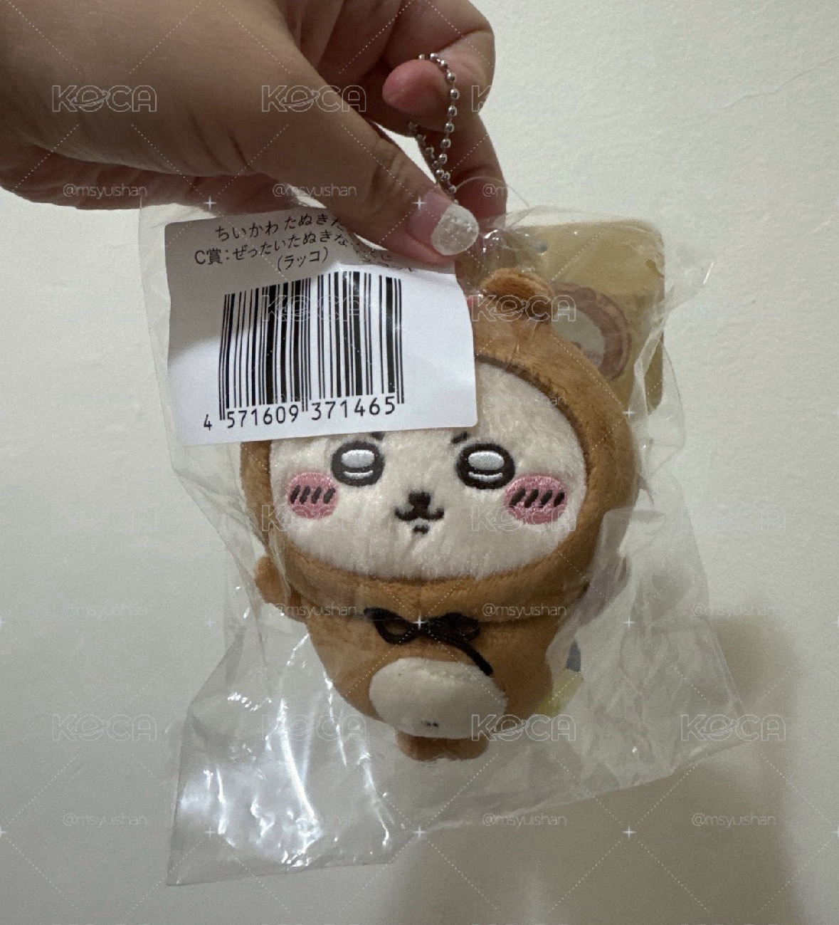 狸貓一番賞 c賞 海獺師傅