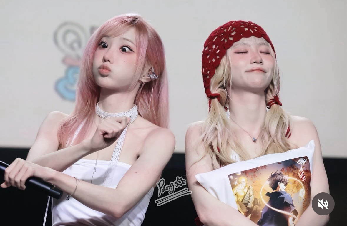 追星的野狼