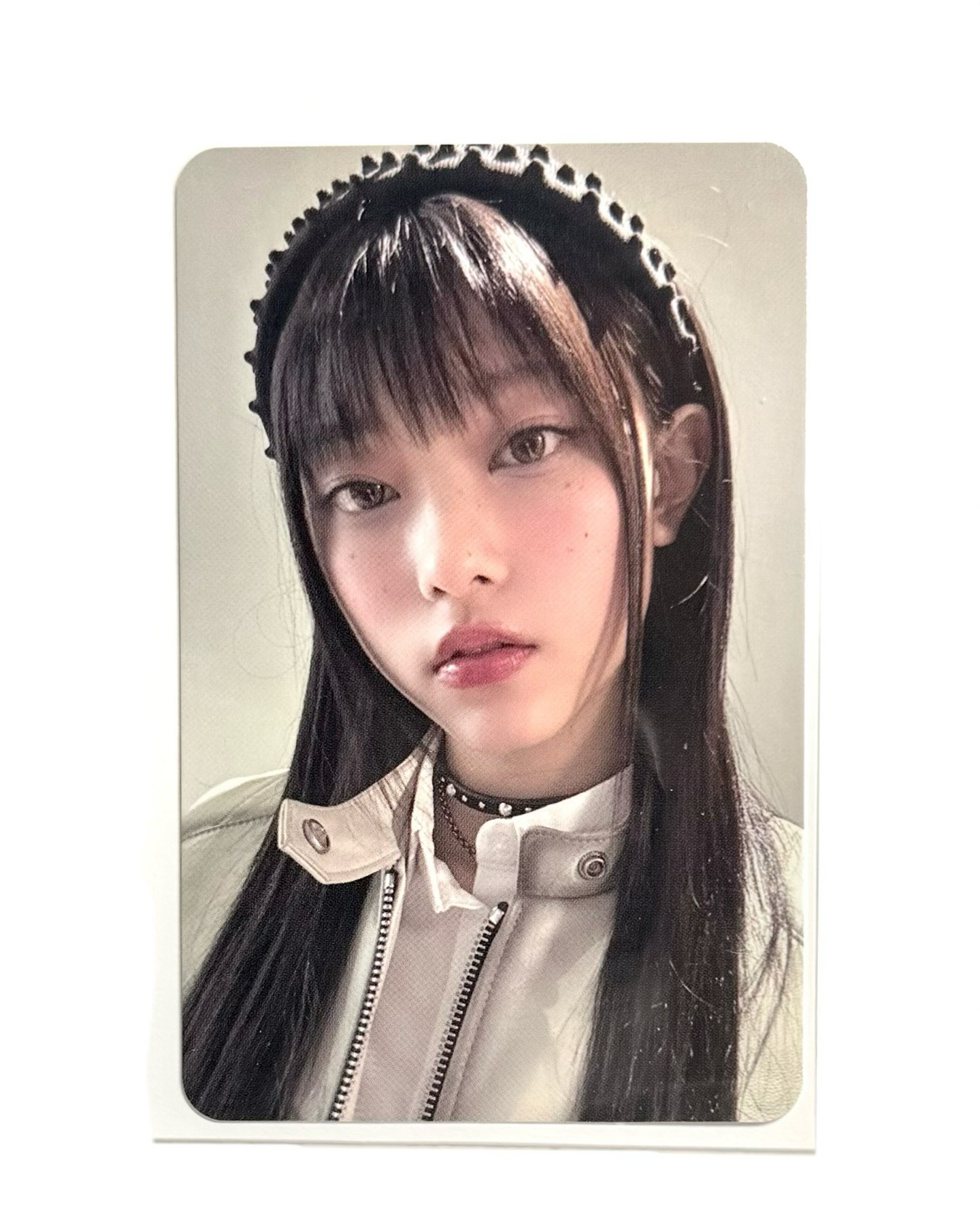 雀斑貓貓