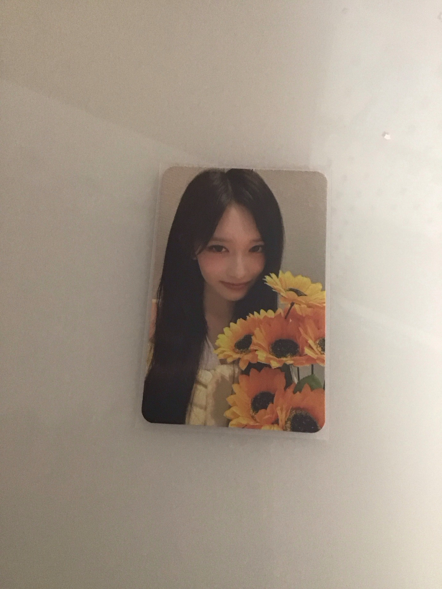 🌼