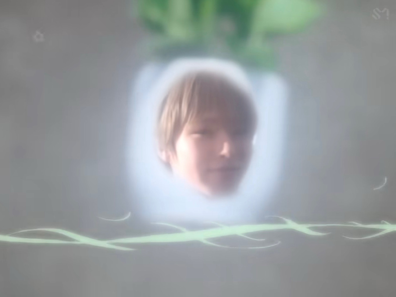 小梨