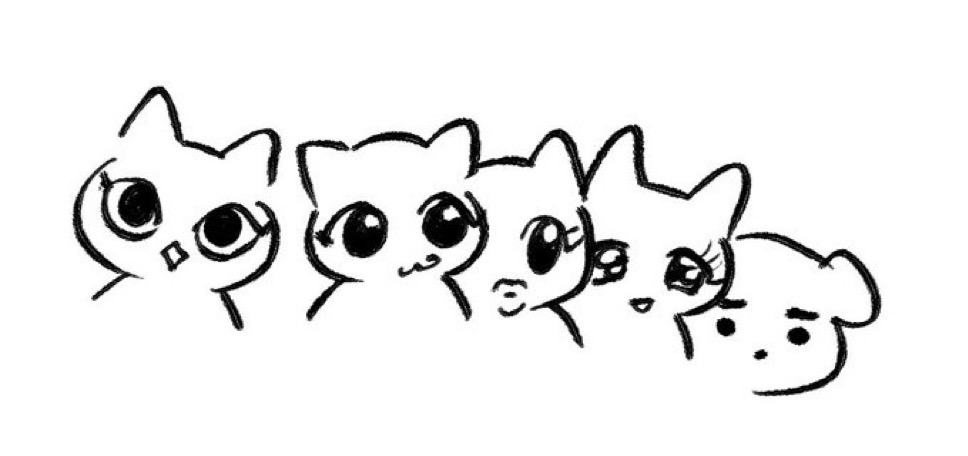 Panchi
