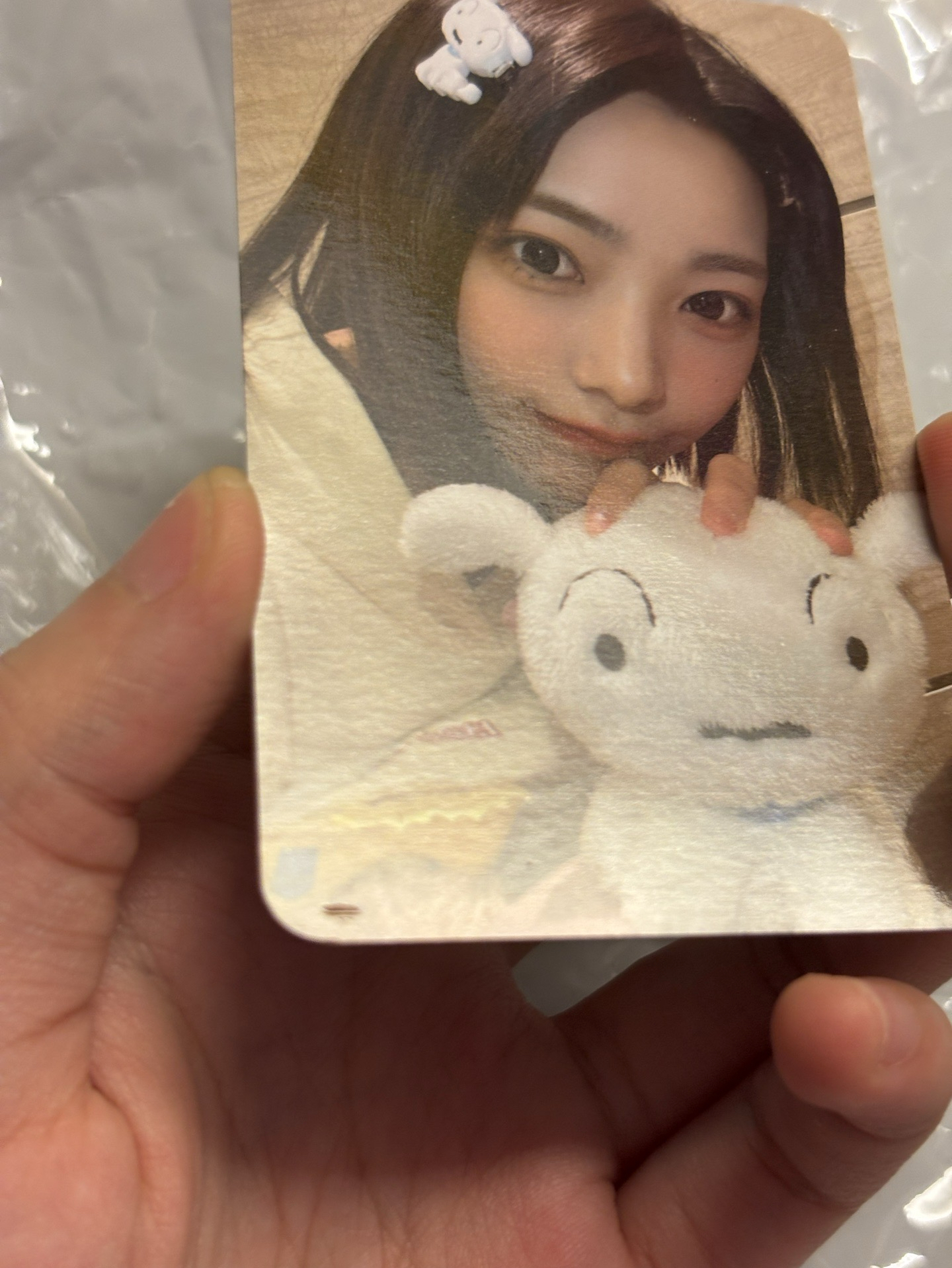 小白燕（有小損如圖二