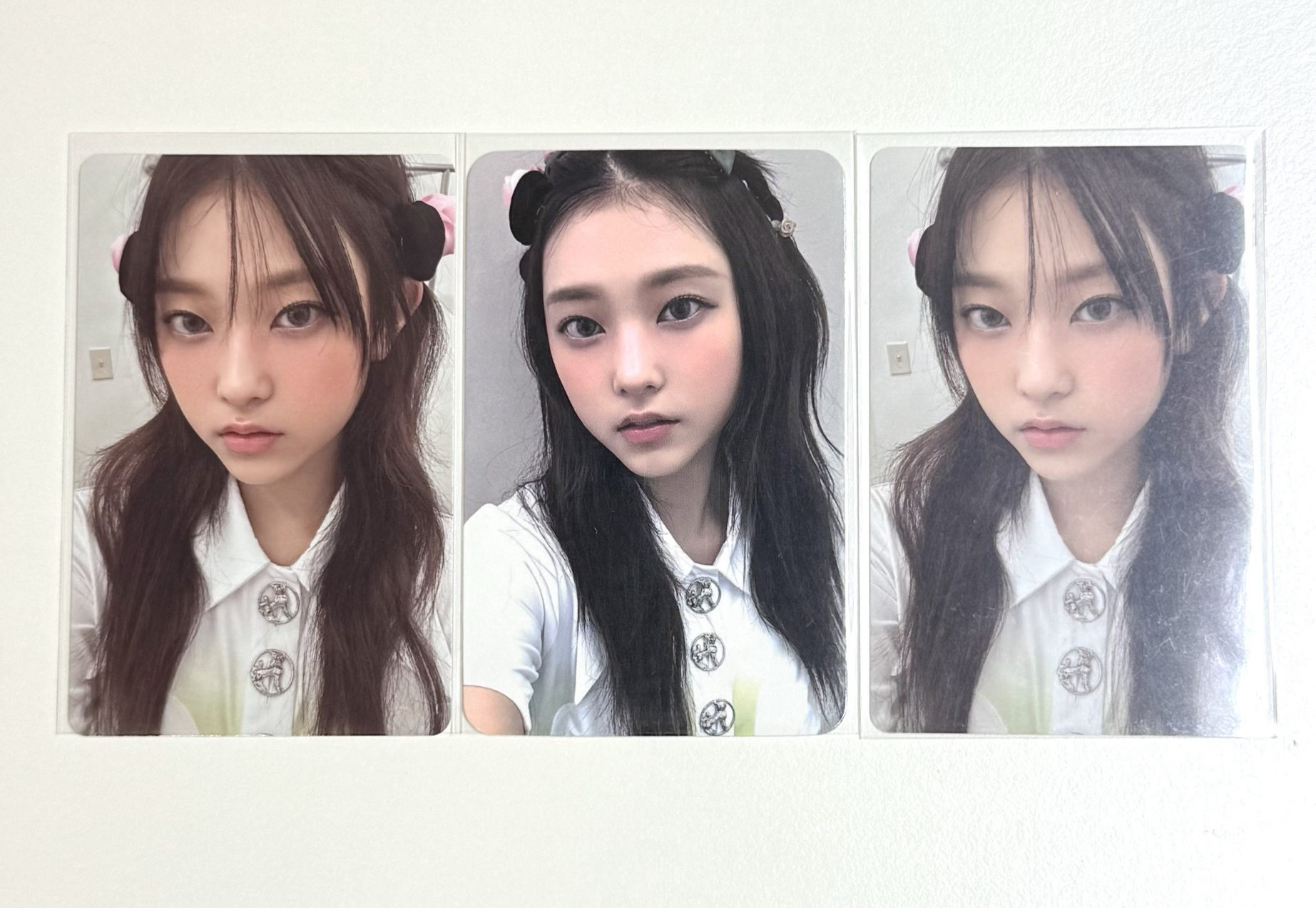 楠藝貓+公主貓