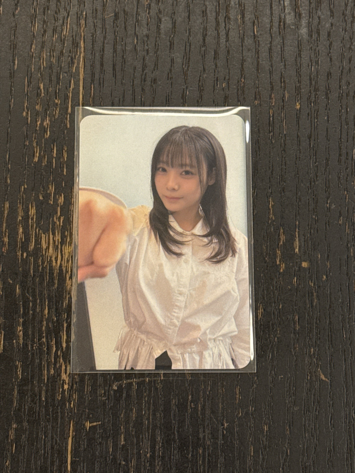 拳頭燕