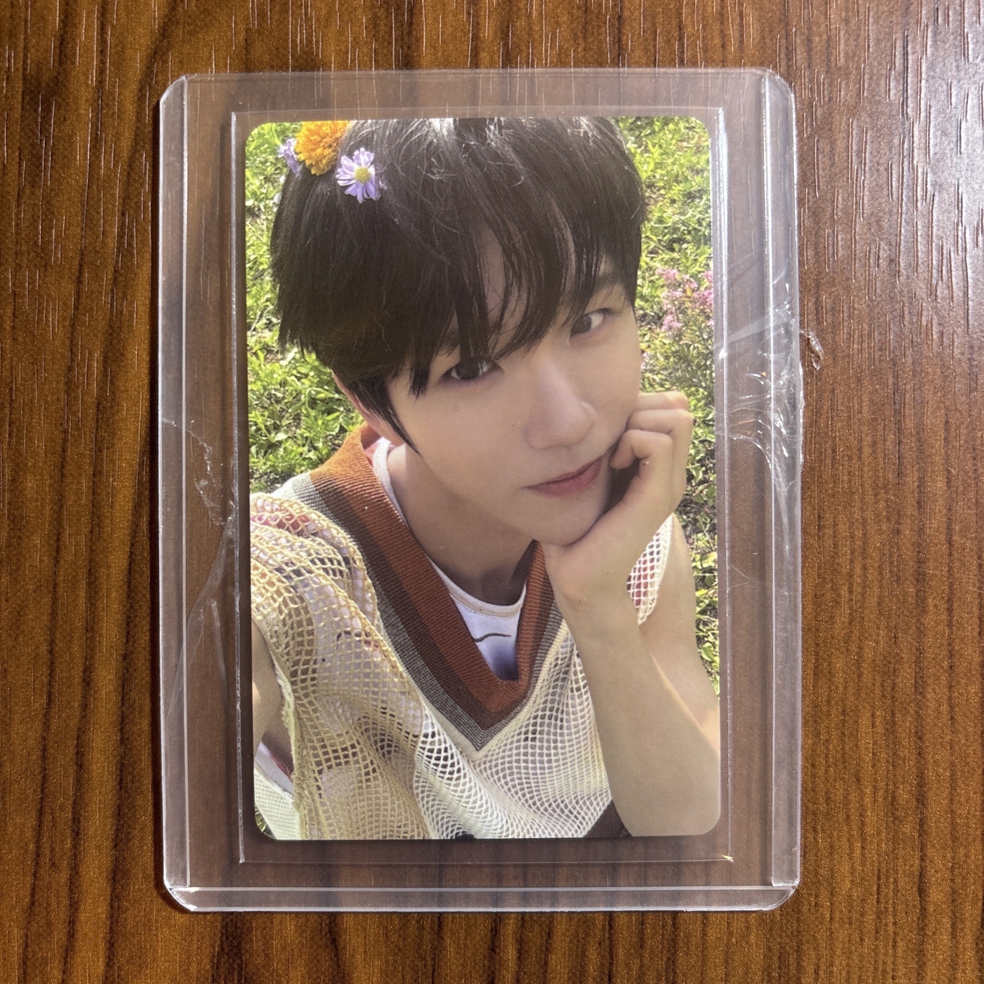 Jaehee 栽禧 Color PB