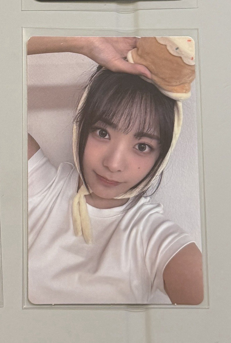 日特藍燕、麻糬燕、兩週年蛋糕燕