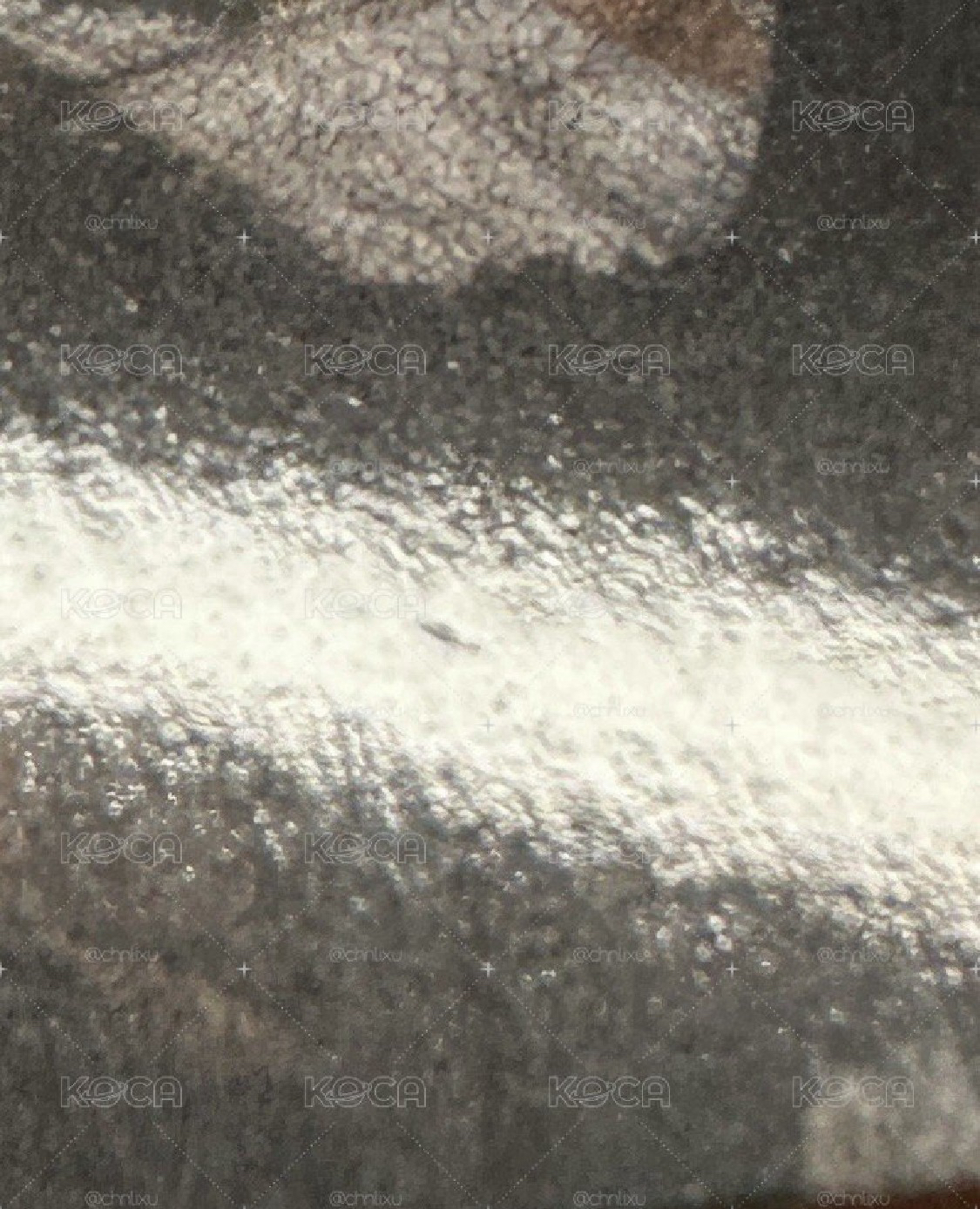 顯 正二 一直娛 簽售卡 漁網顯⑴