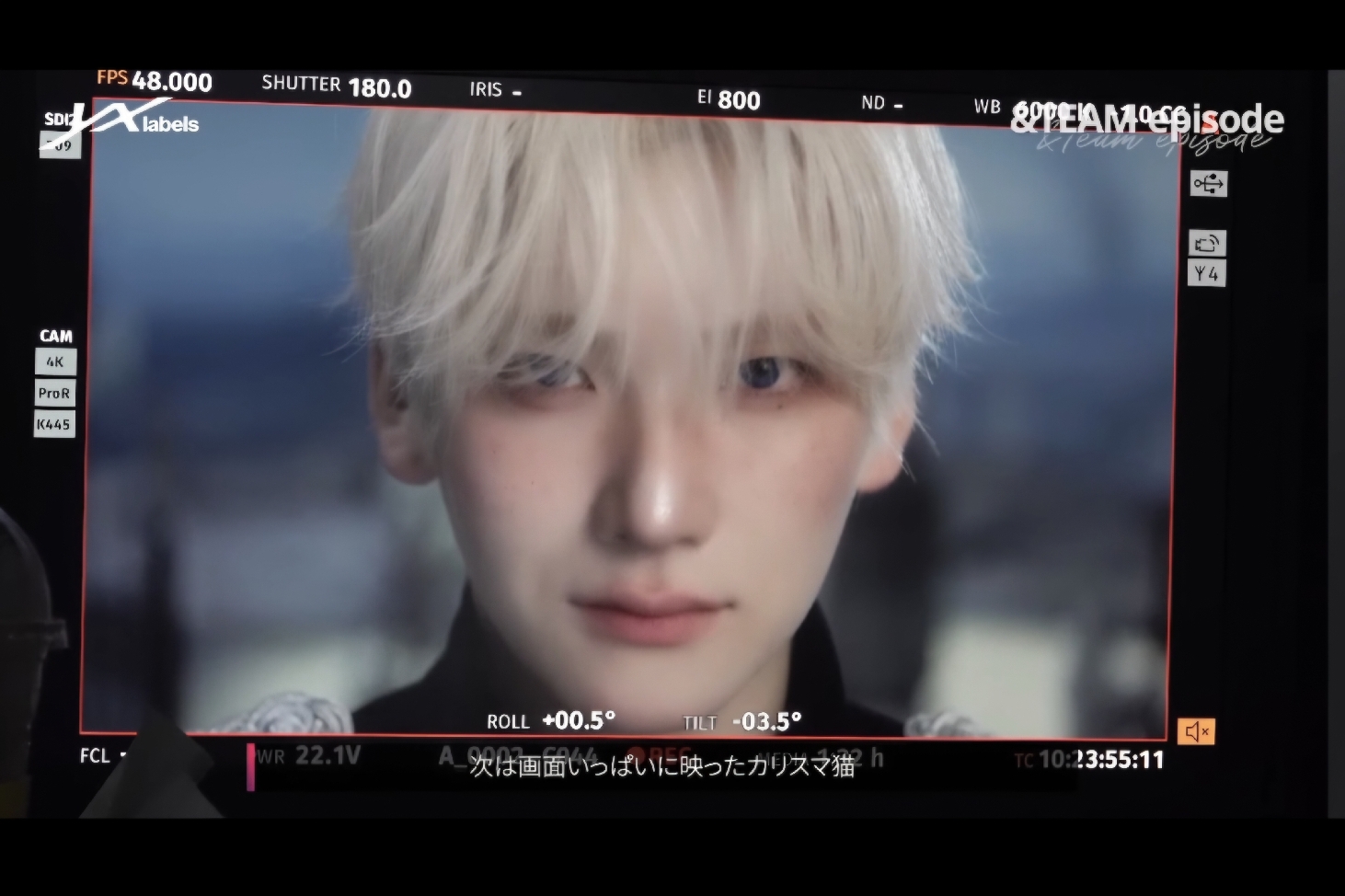 ルナ໒꒱