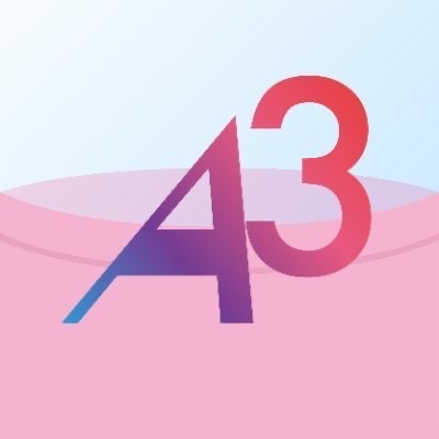 A3