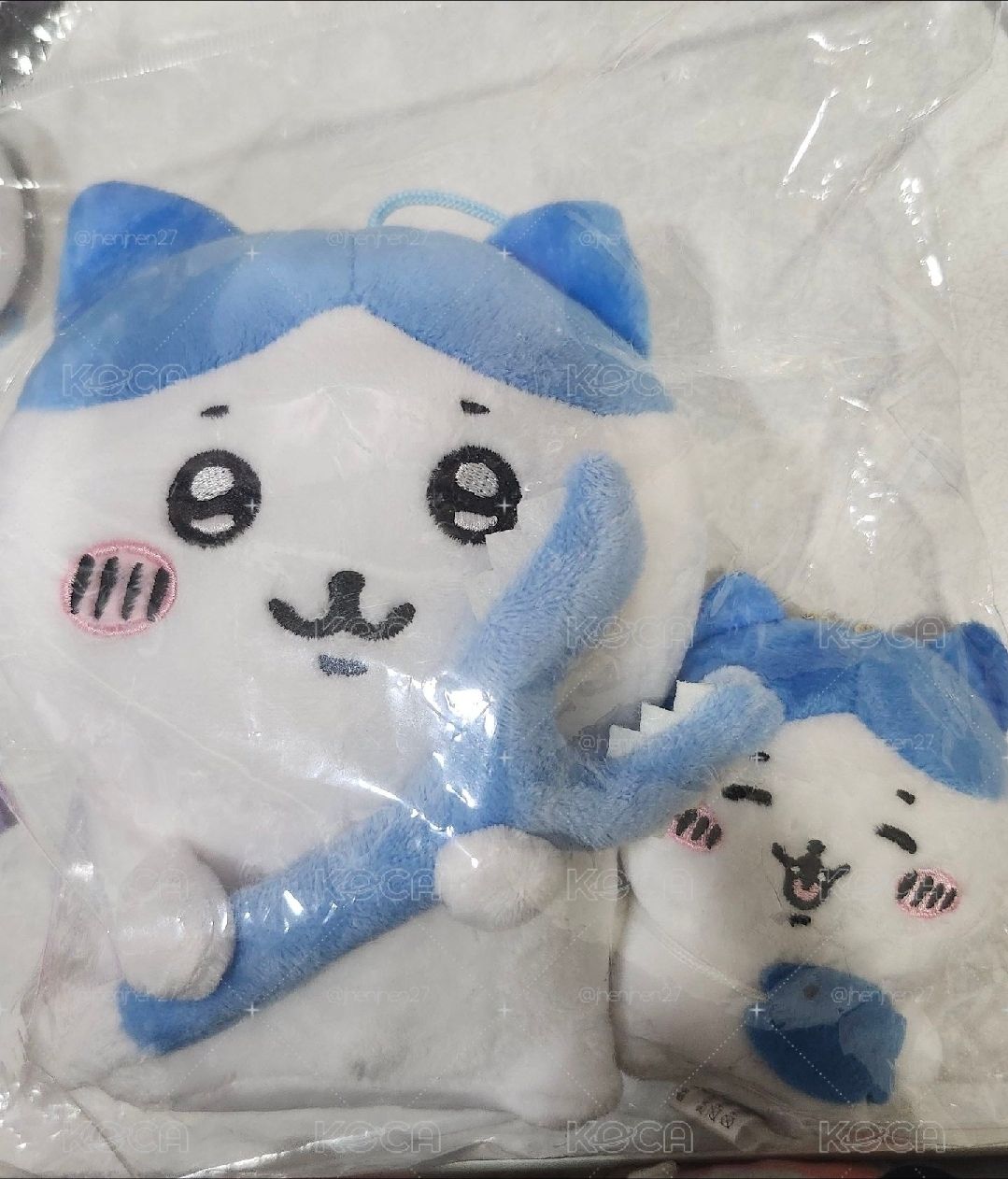 小八一起