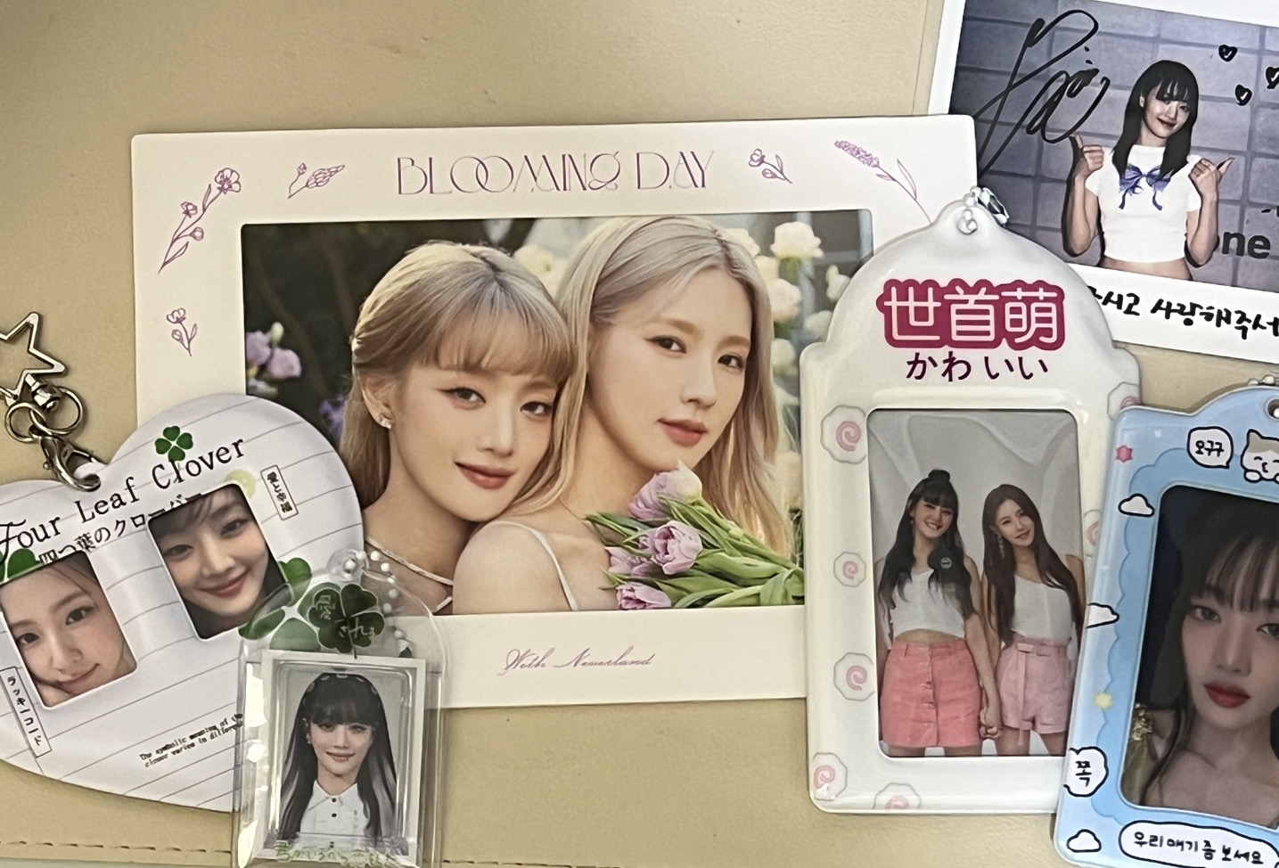 美麗小卡找新家💖｜7/3~7/8期間出國