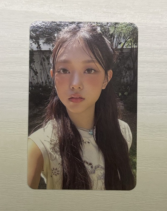 貓貓 年曆卡