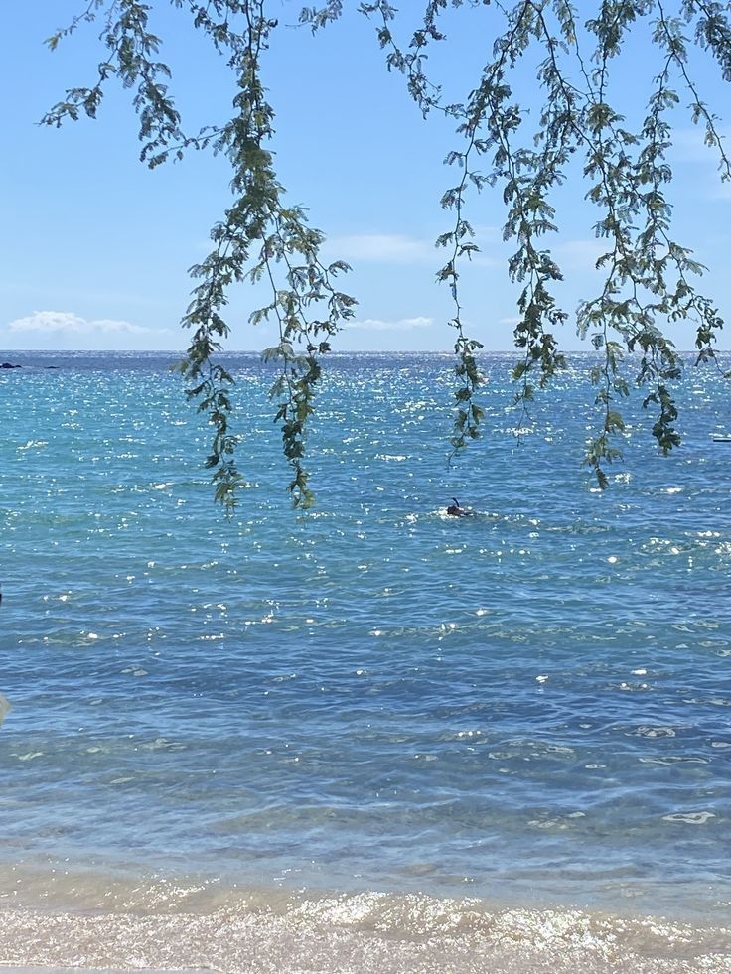 🏝️韓可可的休憩小棧🏝️