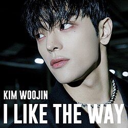 I Like the Way 