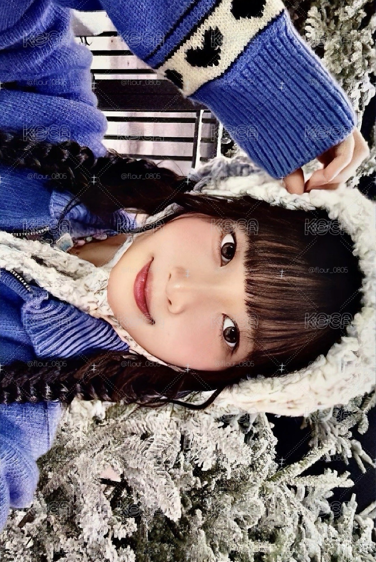 雪景專卡