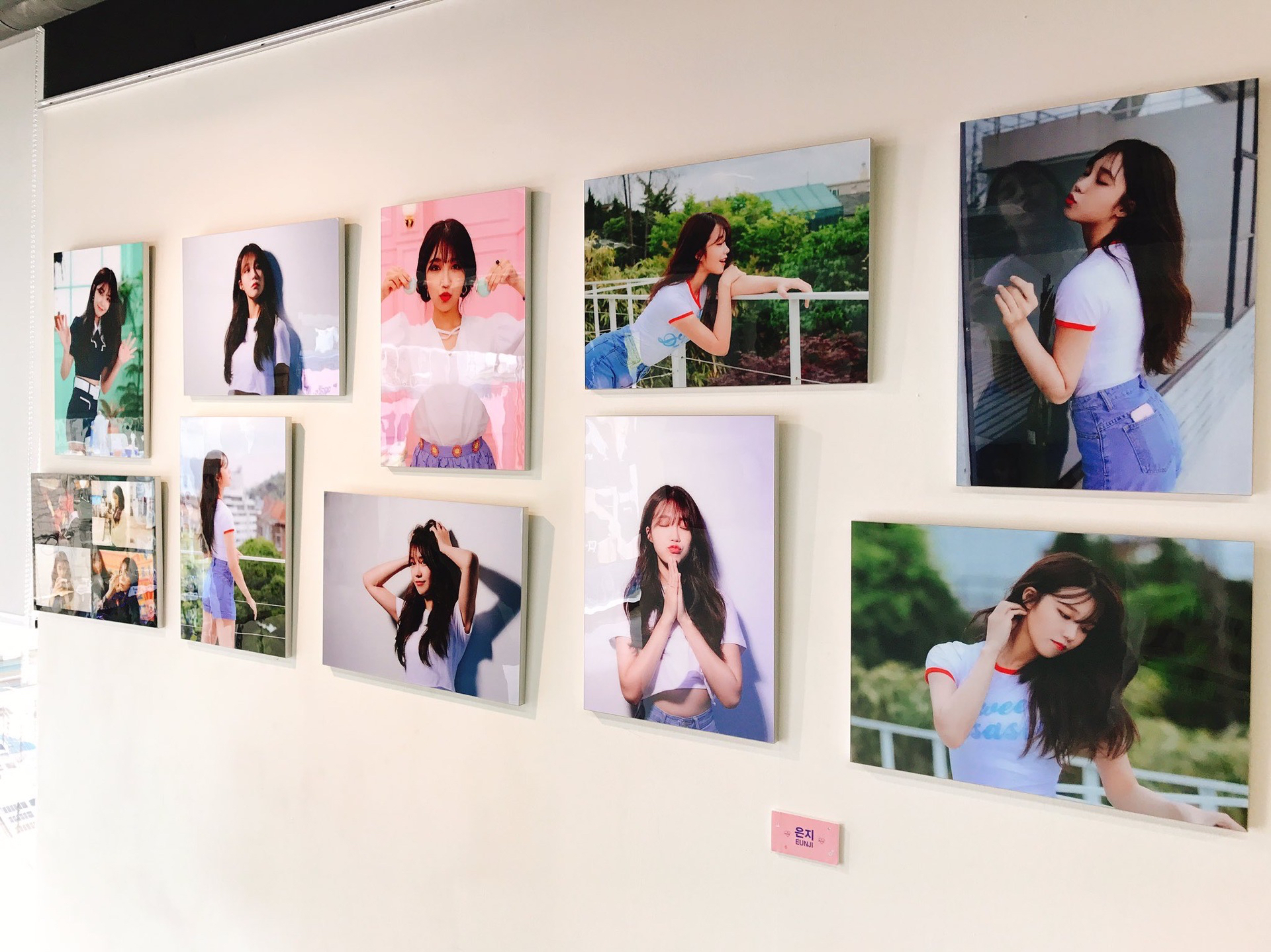 展覽