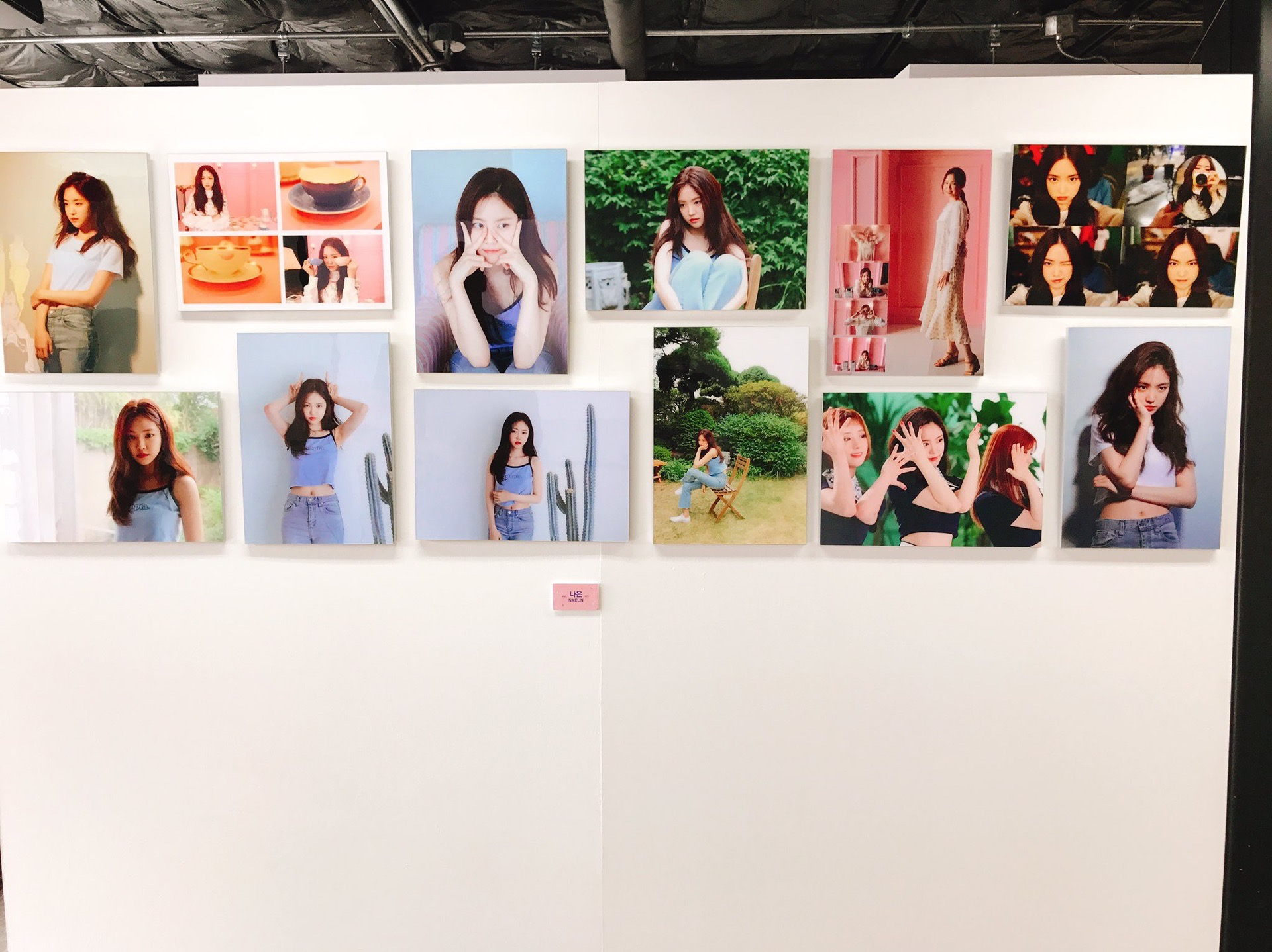 展覽