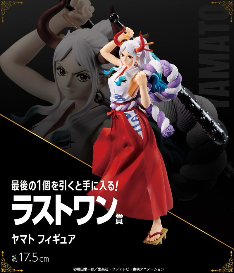 ワンピース vol.100 Anniversary