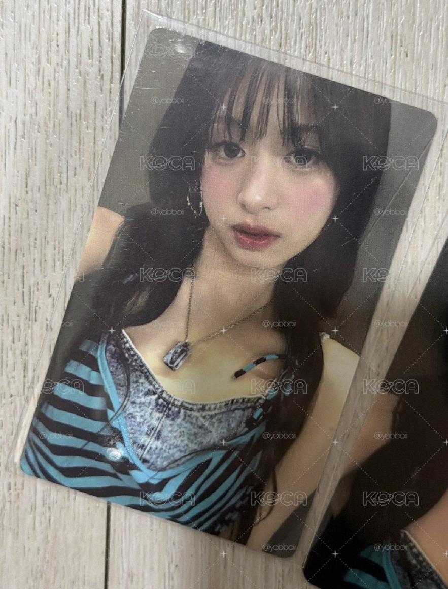 美美綠衣賢
