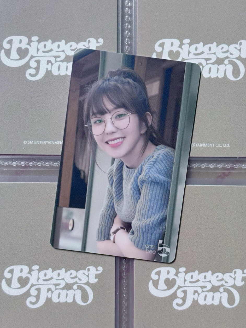 IRENE 瑞士交通卡