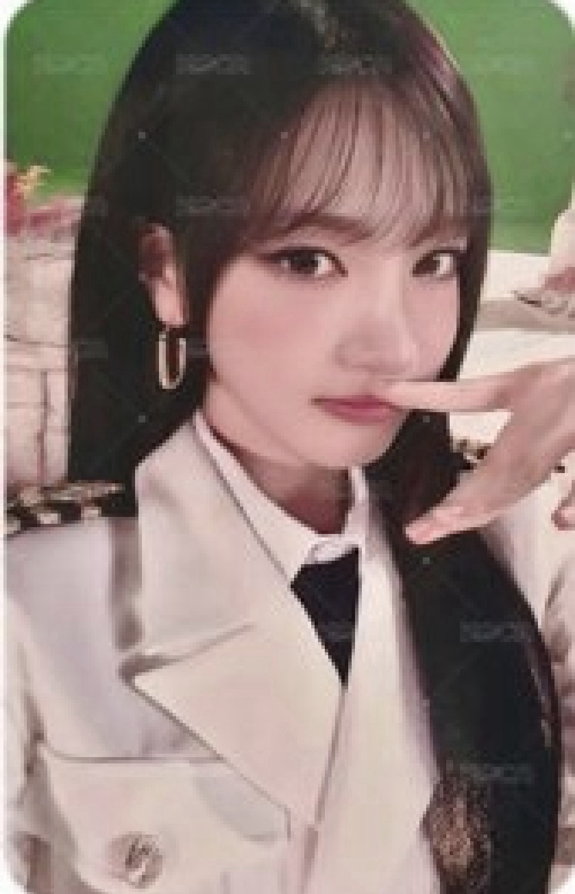 栗卡