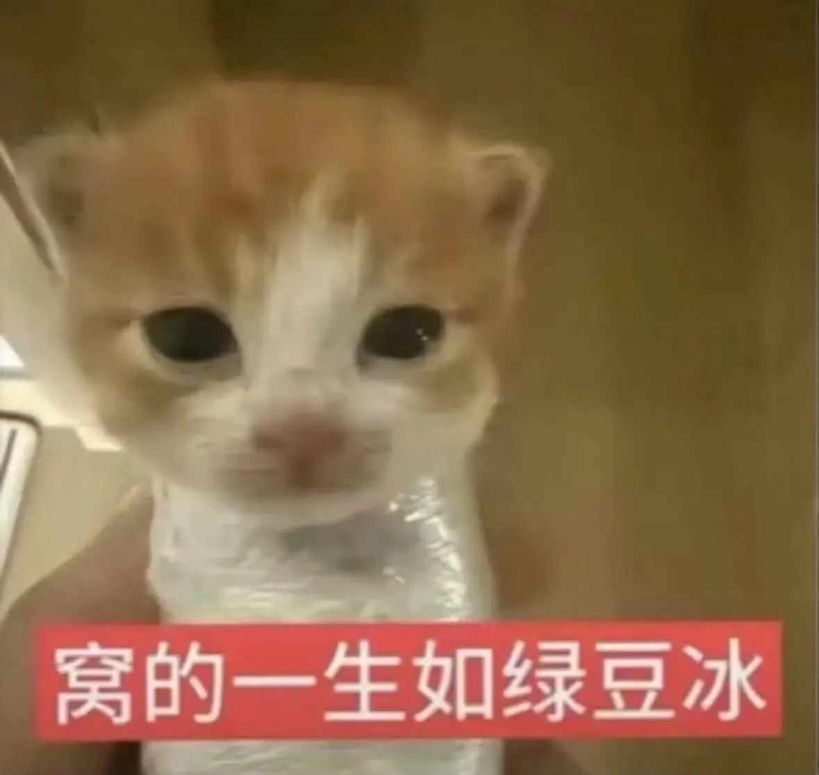 特典進度公告📣