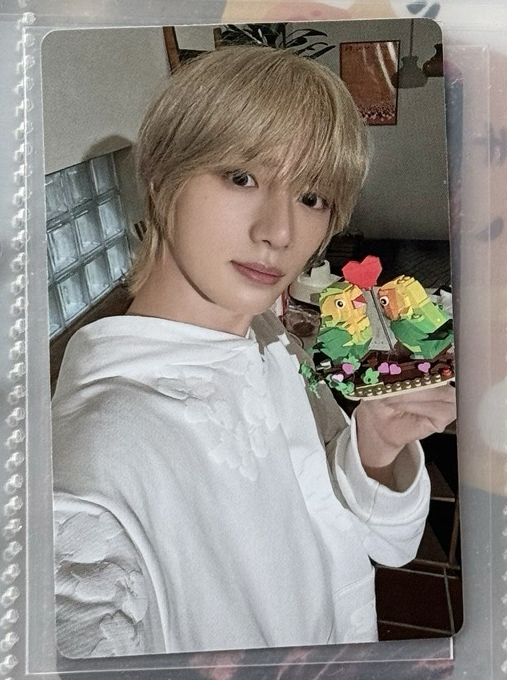 迷七 angel 圭 🤎