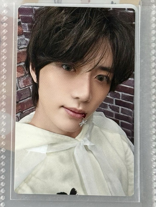 日專 誓 圭 🤎