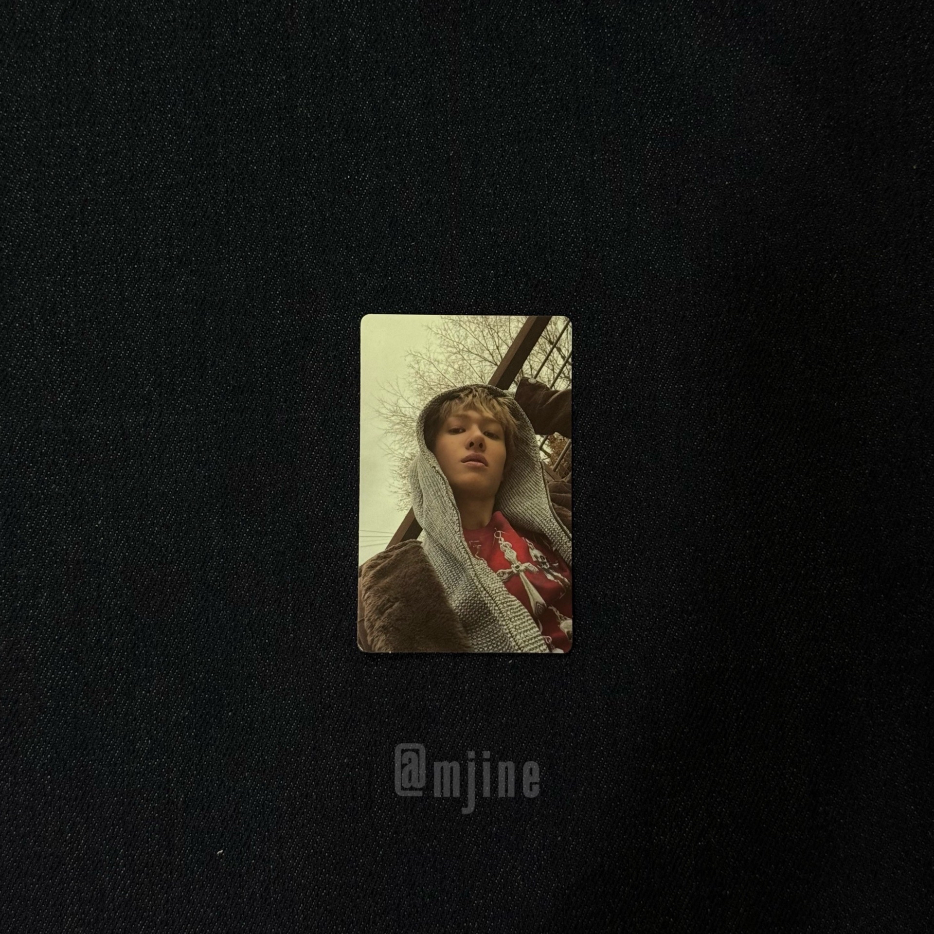 馬丁 迷二 wvs 預售 特典卡 ☁︎⋆☾