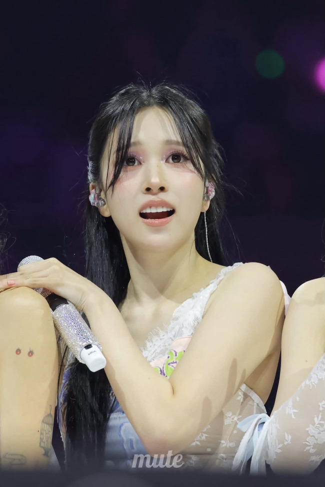 minaminamina🐧
