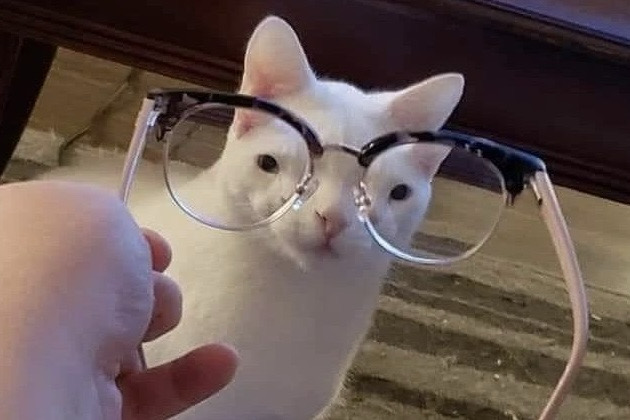 ㅂㄹ