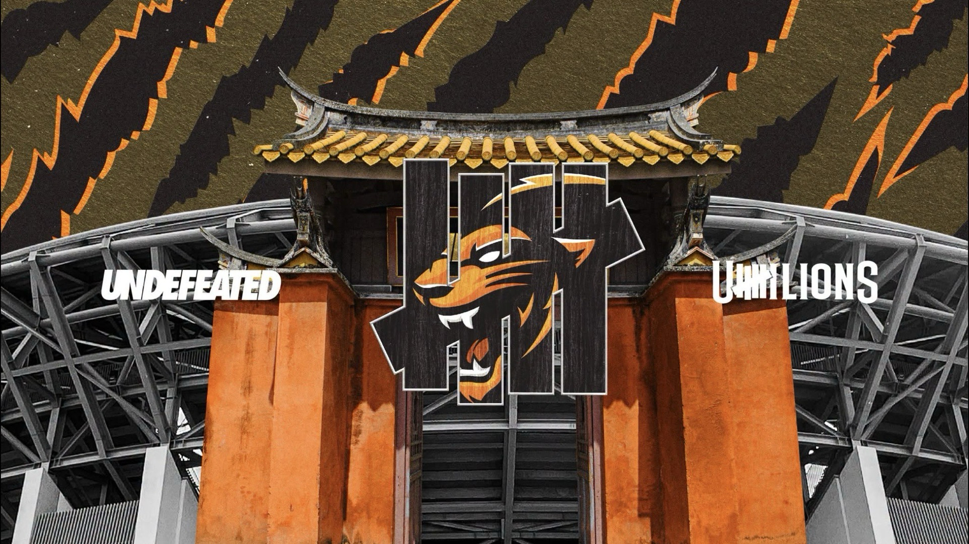 UNDEFEATED LIONSㅣ不敗之獅
